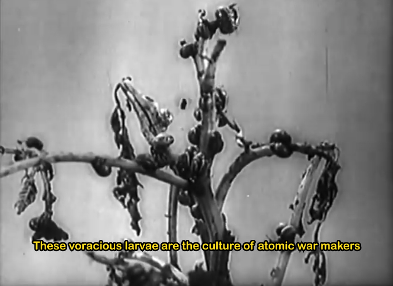Frame 74